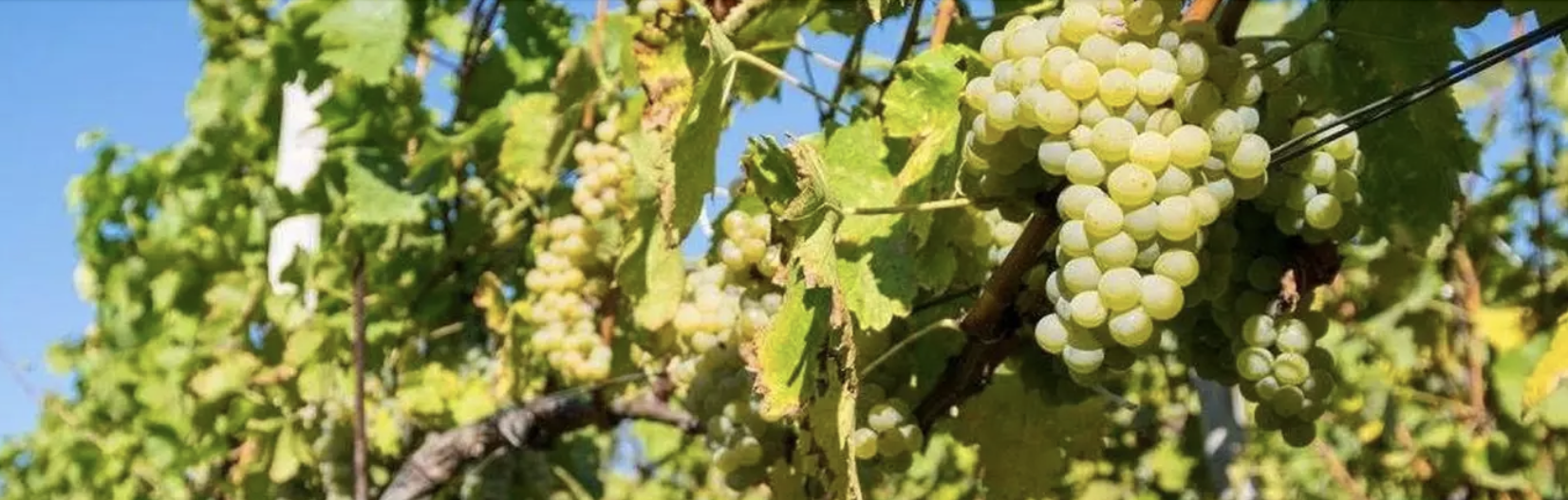 Screenshot 2025-11-10 at 13.06.58